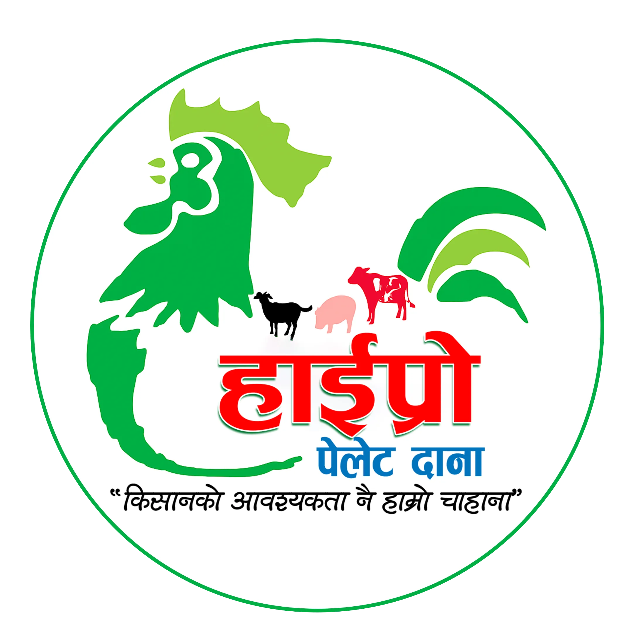 Rapti Feed Industries