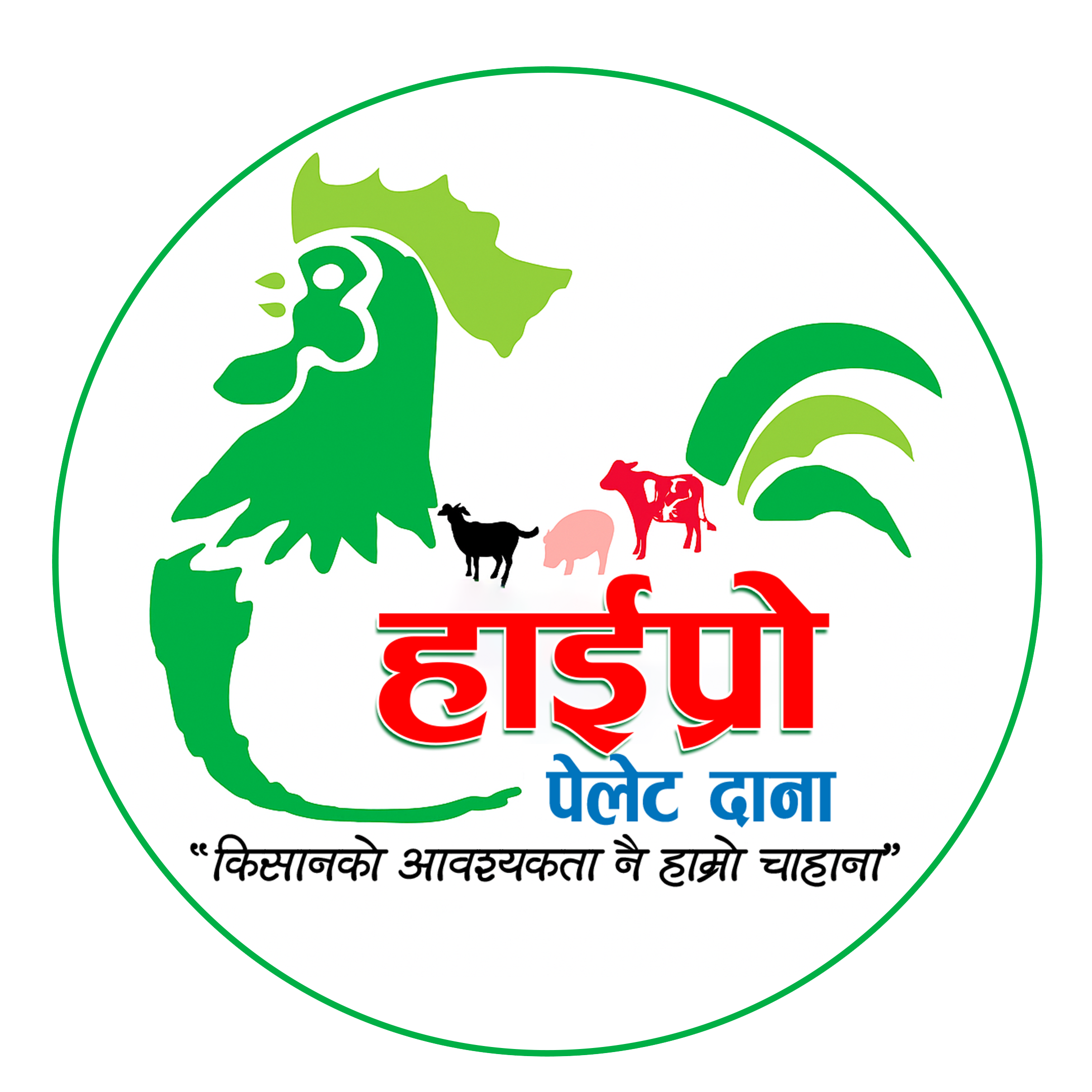 Rapti Feed Industries